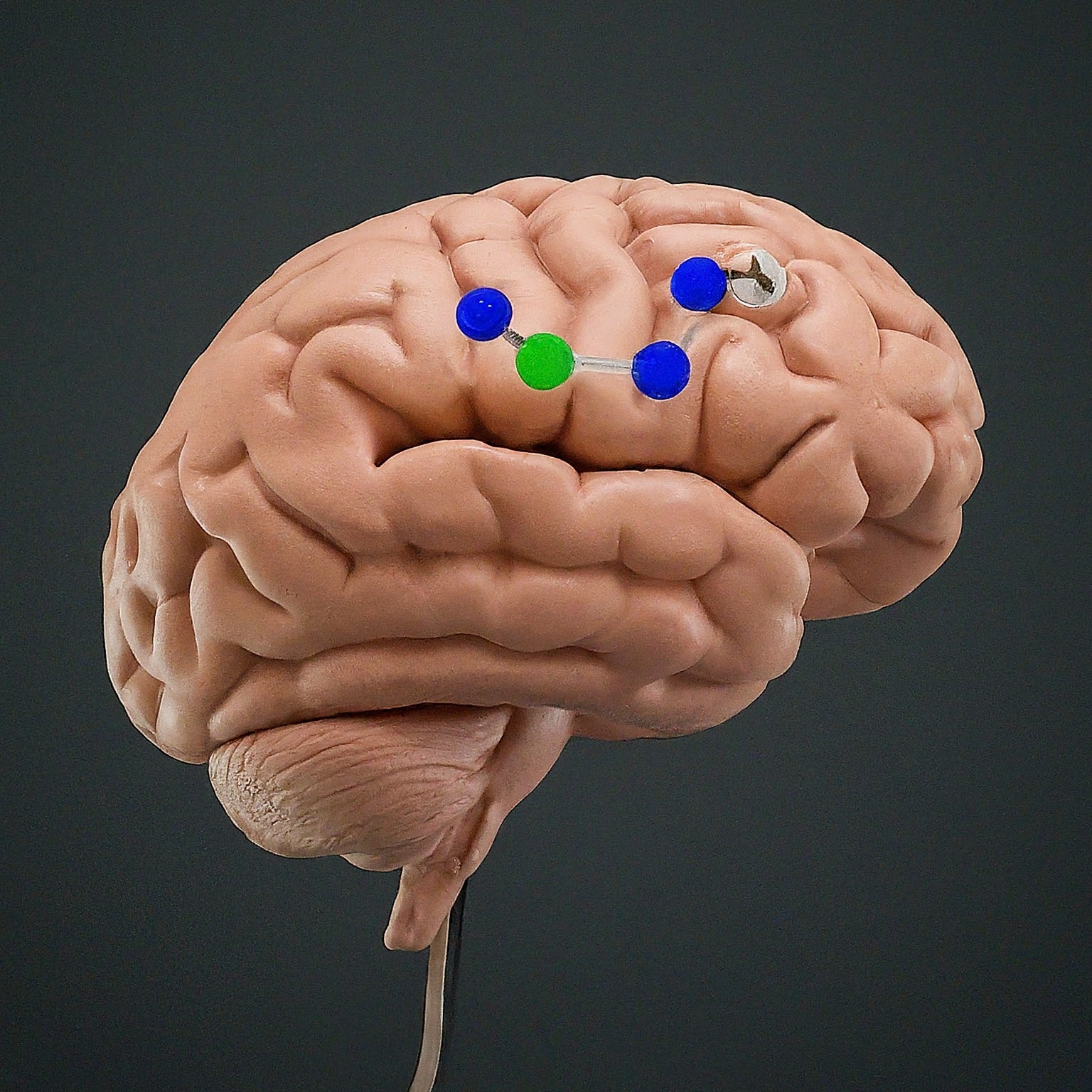 Boost Dopamine